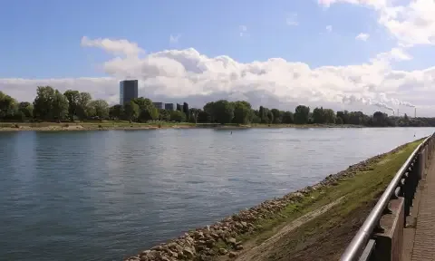 Apartmentreinigung in Ludwigshafen am Rhein